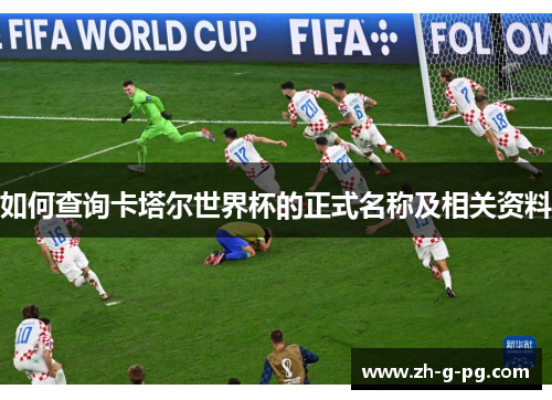 如何查询卡塔尔世界杯的正式名称及相关资料